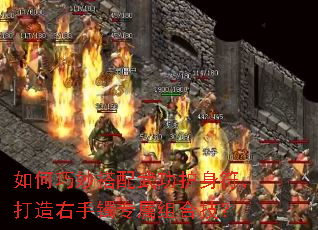 �����������书������������������ר����ϼ���