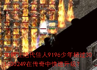 ����þ�������9196�������301300249�ڴ����п���������