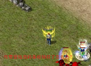 �����½����������б����ô�죿