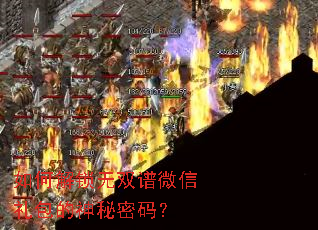 ��ν�����˫��΢��������������룿