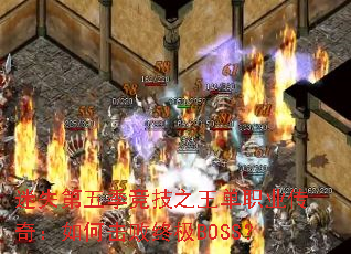 ��ʧ���弾����֮����ְҵ���棺��λ����ռ�BOSS��