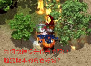 ��ο����������浥ְҵ����汾�Ľ�ɫ�ȼ���