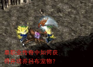 ��ְҵ��������λ�ò������������