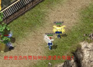 新开变态传奇如何快速提升等级? 新开变态传奇如何快速提升等级?