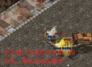 新开超变态单职业东部王国地图,最强攻略在哪里? 新开超变态单职业东部王国地图,最强攻略在哪里?
