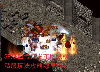 SF��Ѫ���淢�����ݺ�˽���淨���������ң�