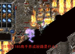 传奇SF185高手养成秘籍是什么? 传奇SF185高手养成秘籍是什么?