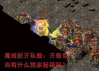 ħ���¿�˽����������ѯ��ʲô�����ؼ���