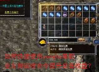 ��ο���ʹ��yonghe��ְҵ��������������װ�����棿