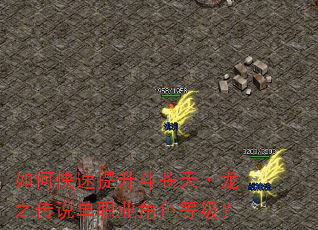 如何快速提升斗苍天·龙之传说单职业角色等级? 如何快速提升斗苍天·龙之传说单职业角色等级?
