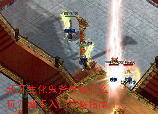 �¿���������������ô�棿�������Ź���ָ��