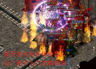 �¿���������������ô�棿�������Ź���ָ��