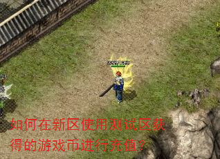 如何在新区使用测试区获得的游戏币进行充值? 如何在新区使用测试区获得的游戏币进行充值?