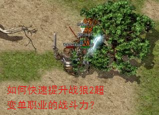 如何快速提升战狼2超变单职业的战斗力? 如何快速提升战狼2超变单职业的战斗力?