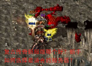���Ŵ����·����ĸ��ã��������ѡ�����ʺϵķ�������