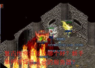 ���Ŵ����·����ĸ��ã��������ѡ�����ʺϵķ�������