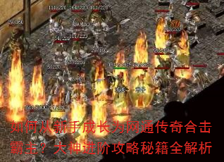 如何从新手成长为网通传奇合击霸主?大神进阶攻略秘籍全解析 如何从新手成长为网通传奇合击霸主?大神进阶攻略秘籍全解析
