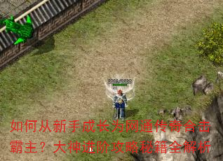 如何从新手成长为网通传奇合击霸主?大神进阶攻略秘籍全解析 如何从新手成长为网通传奇合击霸主?大神进阶攻略秘籍全解析