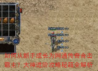 如何从新手成长为网通传奇合击霸主?大神进阶攻略秘籍全解析 如何从新手成长为网通传奇合击霸主?大神进阶攻略秘籍全解析