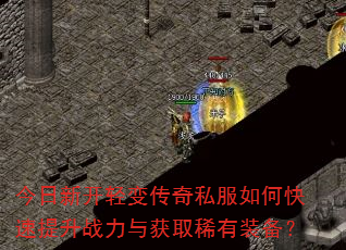 �����¿���䴫��˽����ο�������ս�����ȡϡ��װ����