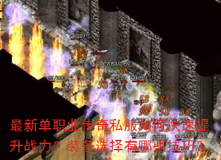 ���µ�ְҵ����˽����ο�������ս����װ��ѡ������Щ���ɣ�