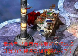 ���µ�ְҵ����˽����ο�������ս����װ��ѡ������Щ���ɣ�