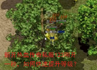 �¿���Ѫ����˽��123�տ�һ�룬��ο��������ȼ���