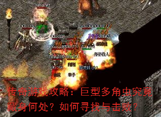 ������Ϸ���ԣ����Ͷ�ǳ澿�������δ������Ѱ������ܣ�