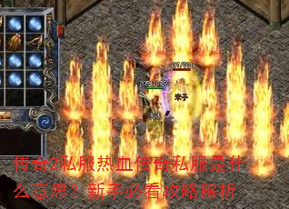 ����2˽����Ѫ����˽����ʲô��˼�����ֱؿ����Խ���