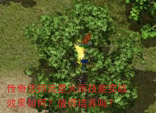 ���淨ʦ���ǻ��꼼��ʵսЧ����Σ�ֵ��������