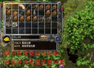 ����Ѫ����SF�����θ��õش���װ������