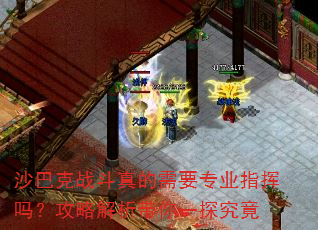 ɳ�Ϳ�ս�������Ҫרҵָ���𣿹��Խ�������һ̽����