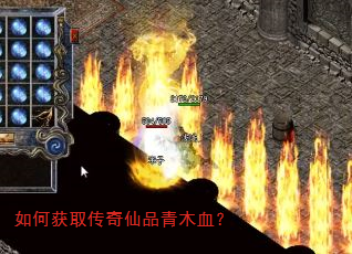 ��λ�ȡ������Ʒ��ľѪ��