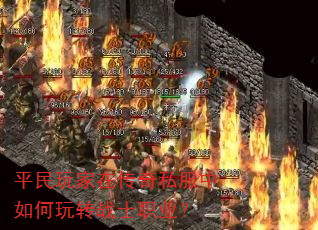 ƽ������ڴ���˽���������תսʿְҵ��