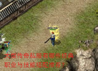 ���ʹ���˽������Щ����ְҵ�뼼�ܴ����Ƽ���
