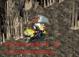��̬����ƽ̨�ĸ��ã��������ѡ����ܿ�ָ��