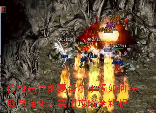 ������������ն�������λ�ȡ��ǿ����ʵ�ù���ȫ����