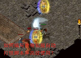 ��α�д����˽���Զ���ֽű�����Чʹ�ã�