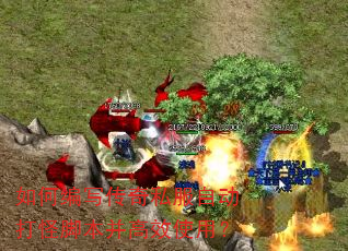 ��α�д����˽���Զ���ֽű�����Чʹ�ã�