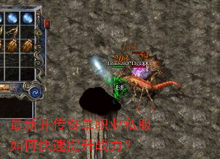 ���¿����浥ְҵ˽����ο�������ս����