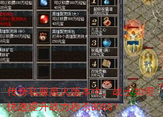 ����˽�����汾�У�սʿ��ο�������ս����ɱBOSS��