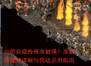 ��λ�ȡ����׼������׼�������������ʵս����ָ��