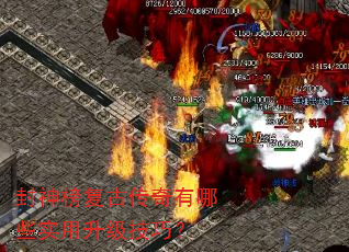 ����񸴹Ŵ�������Щʵ���������ɣ�