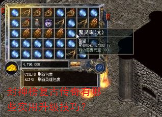 ����񸴹Ŵ�������Щʵ���������ɣ�