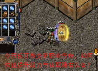 �����¿�΢�䵥ְҵ���棬��ο�������ս�����ȡϡ��װ����