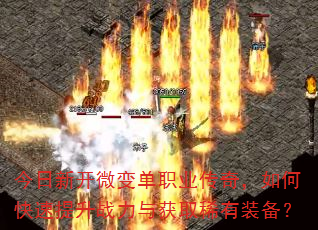 �����¿�΢�䵥ְҵ���棬��ο�������ս�����ȡϡ��װ����