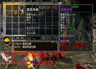 ��Ѫ���淨ʦ���ټ���ѧʥ�����ͱ�������