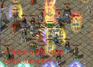 �����¿�����ɢ�������θ�Чˢ��Ӣ�֣�