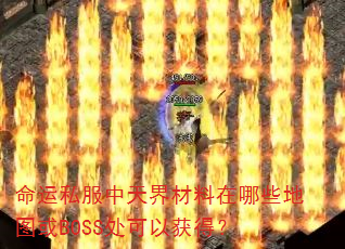 ����˽��������������Щ��ͼ��BOSS�����Ի�ã�