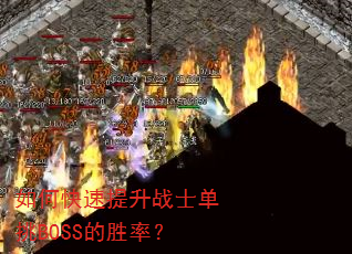 ��ο�������սʿ����BOSS��ʤ�ʣ�